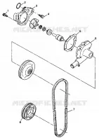 POMPA DELL'ACQUA WIDETRAK LX 0982065 and EUROPEAN WIDETRAK LX E982065 (4943884388C011)