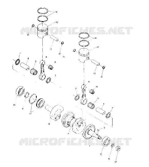 PISTON AND ALBERO MOTORE (4909530953019A)