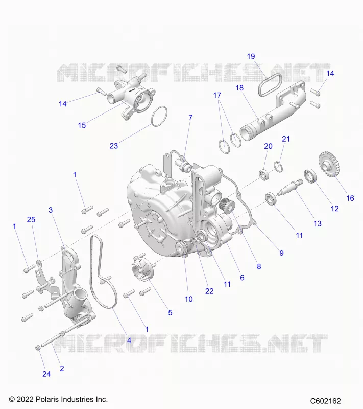 ENGINE, SISTEMA DI RAFFREDDAMENTO/WATER PUMP