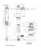 IFS SHOCK, INTL (7044288)