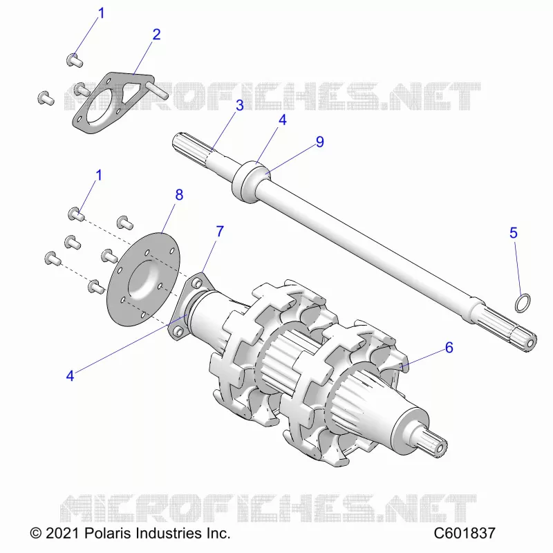 DRIVE TRAIN, JACKSHAFT AND ALBERO DI TRASMISSIONE