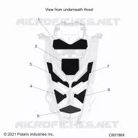 CAPPUCCIO FOAM/SEAL