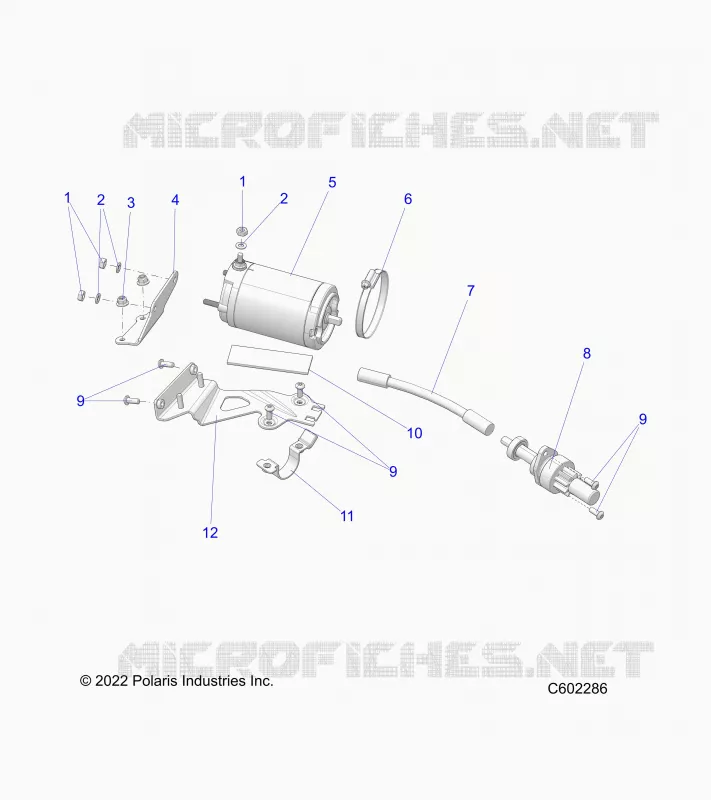 ANTIPASTO MOTOR
