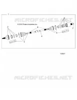 DRIVE TRAIN, POSTERIORE DRIVE SHAFT (TO 8/29/16)