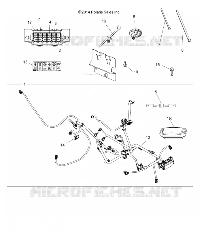 ELETTRICO, HARNESS