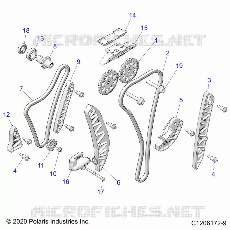 ENGINE, TIMING AND OIL CATENA DRIVES