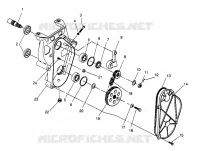 carter della catena XLT 0966756 (4933823382B008)