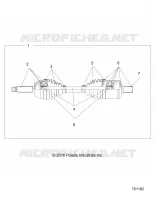 DRIVE TRAIN, ANTERIORE ALBERO