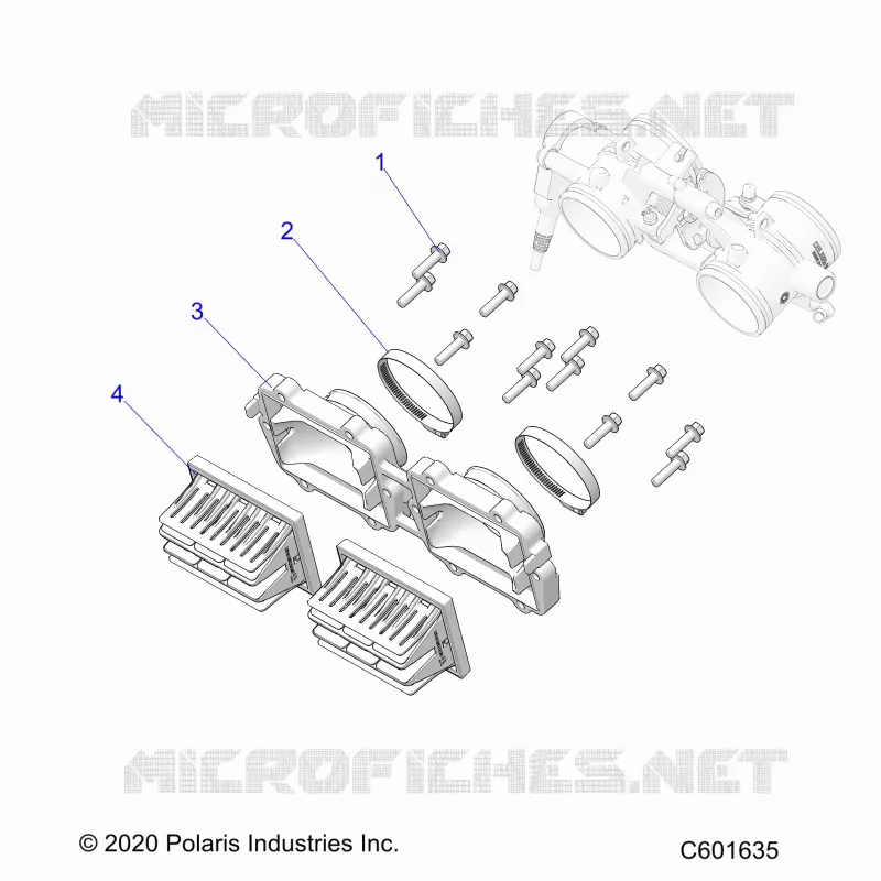 ENGINE, REED VALVE AND CORPO FARFALLATO ADAPTOR