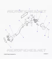 MOTORE, WATERPUMP AND RELATED