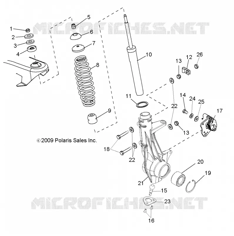 SUSPENSION, ANTERIORE MONTANTE