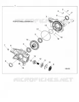 DRIVE TRAIN, POSTERIORE GEARCASE INTERNALS
