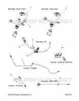 ELETTRICO, JUMPERS/WIRE HARNESS