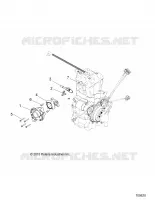 CORPO FARFALLATO AND FUEL RAIL