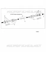DRIVE TRAIN, POSTERIORE DRIVE SHAFT