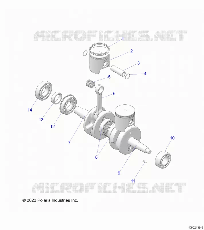 ENGINE, PISTON AND ALBERO MOTORE