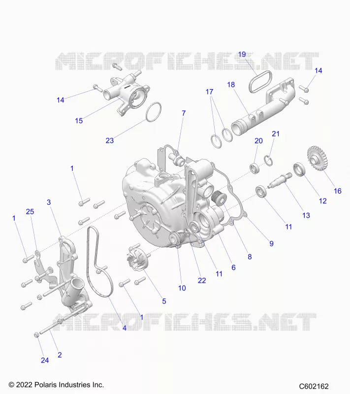 ENGINE, SISTEMA DI RAFFREDDAMENTO/WATER PUMP