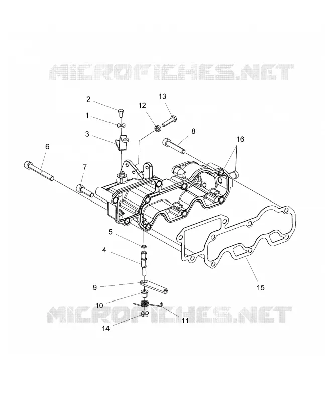 MOTORE, INLET MANIFOLD AND THROTTLE CONTROL