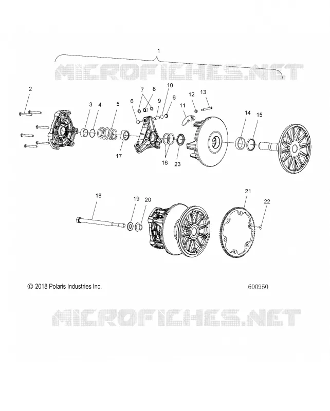 TRASMISSIONE, CLUTCH, PRIMARY