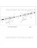 DRIVE TRAIN, ANTERIORE ALBERO