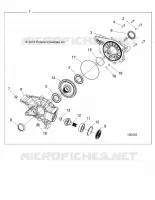 TRASMISSIONE, REAR GEARCASE INTERNALS