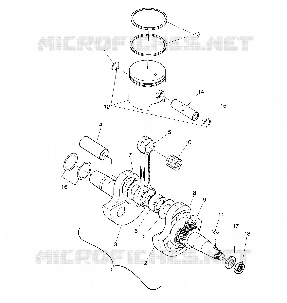 ALBERO MOTORE AND PISTON ASSEMBLY (4914781478032A)