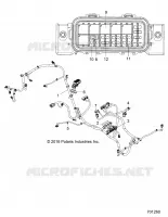 ELETTRICO, WIRE HARNESS