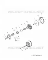 TRASMISSIONE, CLUTCH, PRIMARY