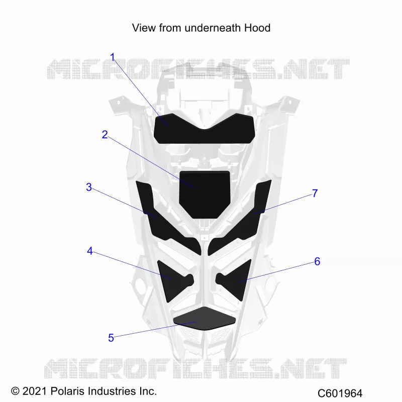 CAPPUCCIO FOAM/SEAL