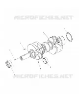 ENGINE, ALBERO MOTORE