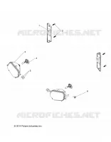 FAROS, FANALE POSTERIORES and BULBS
