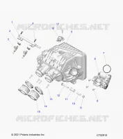 ENGINE, INTAKE MANIFOLD, CORPO FARFALLATO, FUEL RAIL