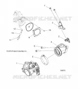 CORPO FARFALLATO AND FUEL RAIL