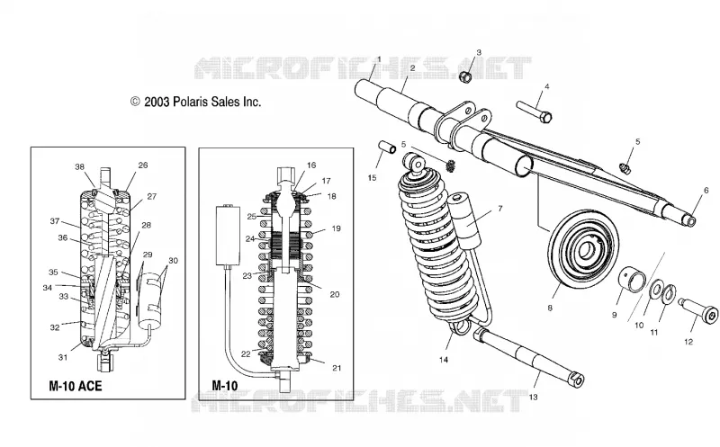 POSTERIORE COPPIA ARM (M-10)