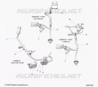 ELETTRICO, WIRE HARNESS, HOOD, ELECTRIC START