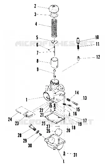 CARBURATORE (STAR) (4910951095029A)