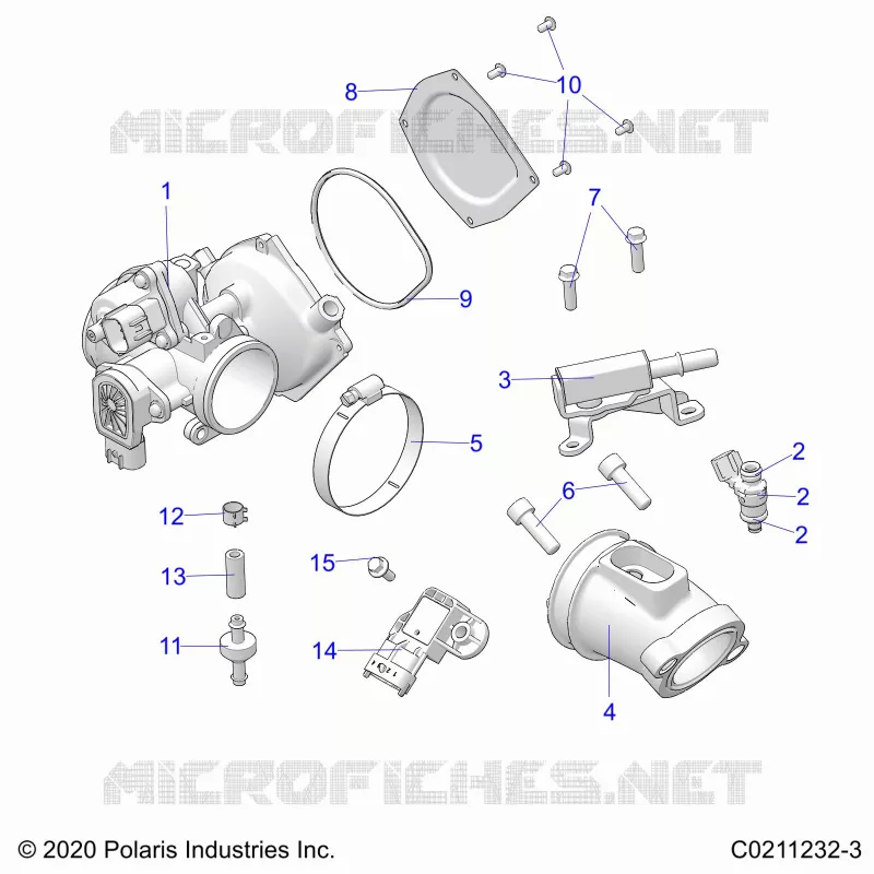 ENGINE, CORPO FARFALLATO AND FUEL RAIL