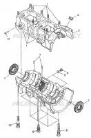 CARTER WIDETRAK LX 0972065 and  EUROPEAN WIDETRAK LX E972065 (4938223822C007)