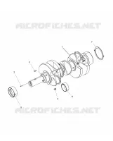 ENGINE, ALBERO MOTORE