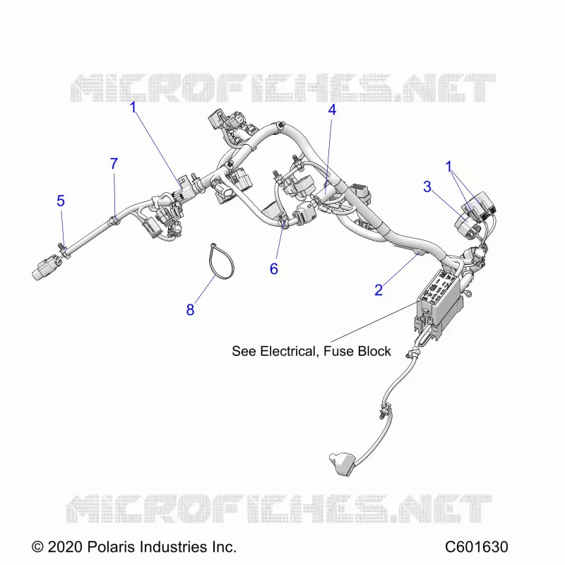 ELETTRICO, WIRE HARNESS, MAIN