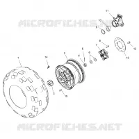 RUOTE, REAR TIRE AND BRAKE DISC