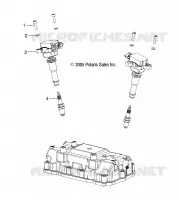 ACCENSIONE COILS and SPARK PLUGS
