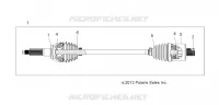 DRIVE TRAIN, POSTERIORE ALBERO