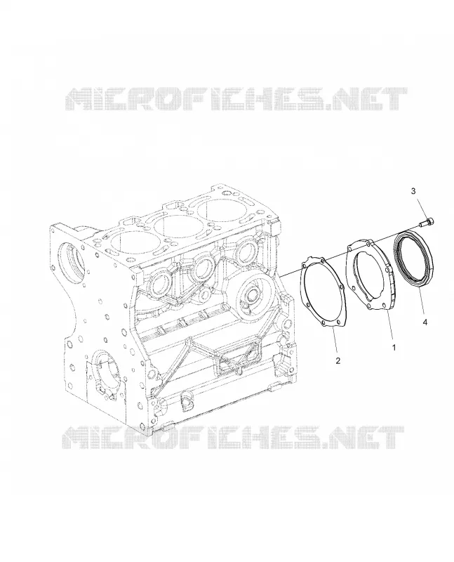 MOTORE, ALBERO MOTORE OIL SEAL FLANGE