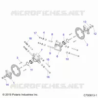 SOSPENSIONE POSTERIORE CARRIER