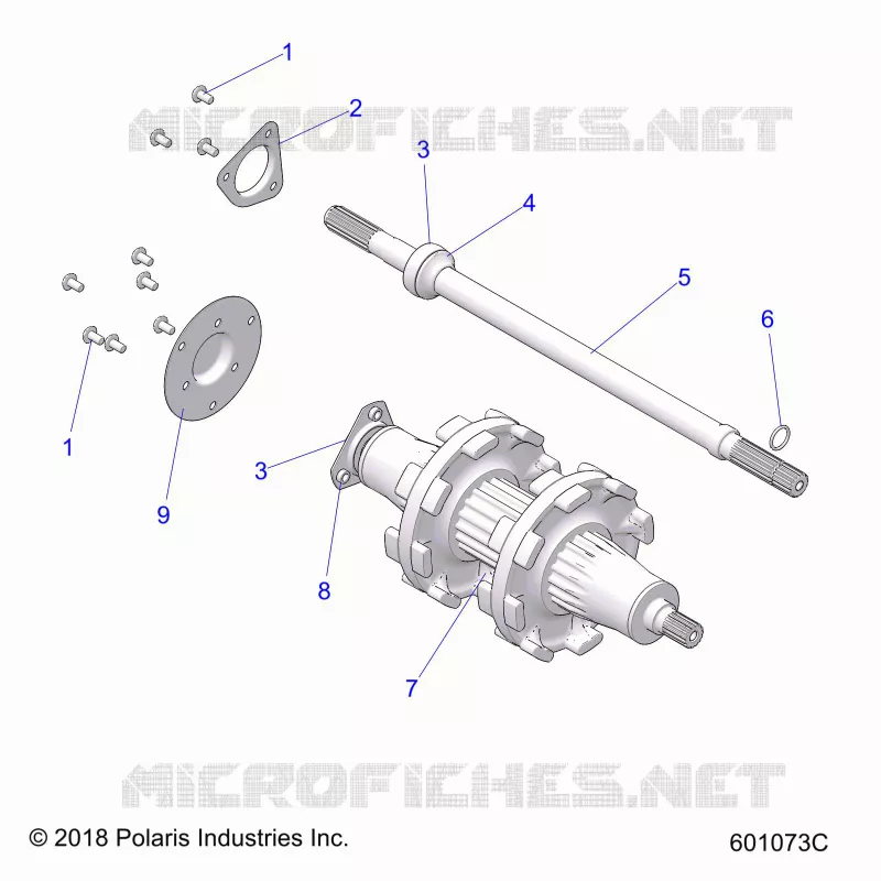 DRIVE TRAIN, JACKSHAFT AND ALBERO DI TRASMISSIONE