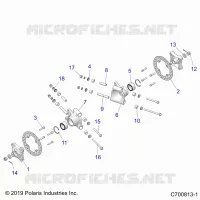 SOSPENSIONE POSTERIORE CARRIER