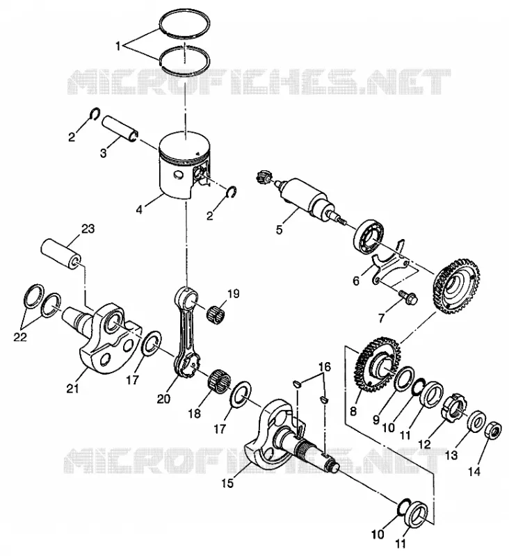 PISTONEEE   ALBERO MOTORE (400L) XPRESS 400L W97CA38C (4939603960D008)
