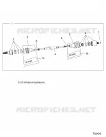 DRIVE TRAIN, POSTERIORE ALBERO