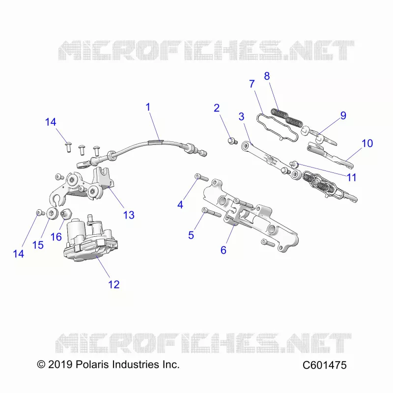 ENGINE, VALVOLA SCARICO ASM. AND ACTUATOR